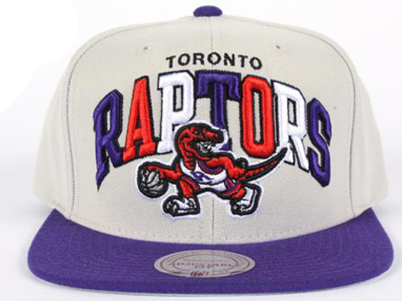 NBA Toronto Raptors M&N Snapback Hat NU09